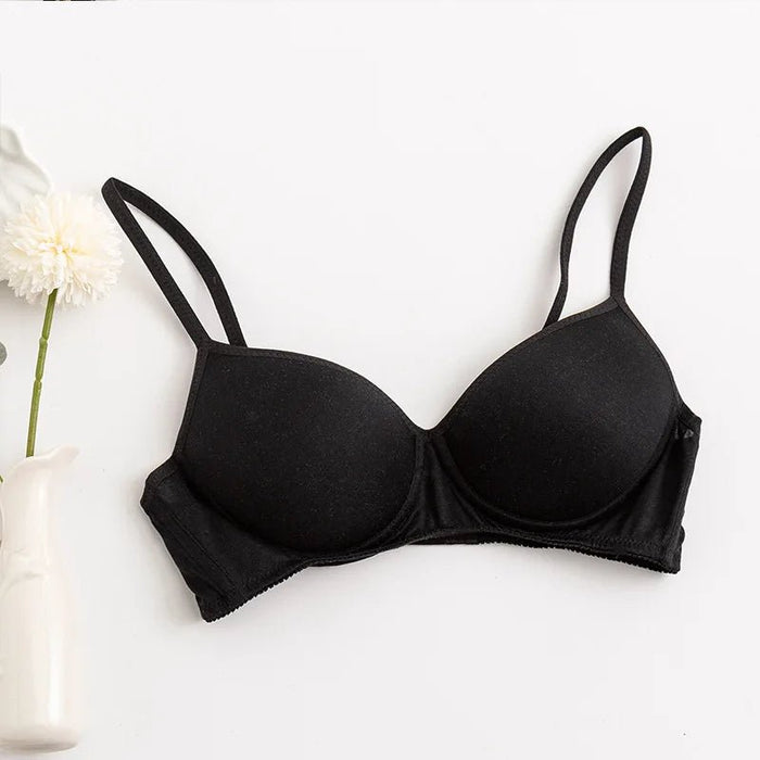 100% Mulberry Silk Bra For Women Wireless Seamless Brassiere Comfortable Gathering Underwear Push Up Soft Bralette Sexy Lingerie - CLICK TIK