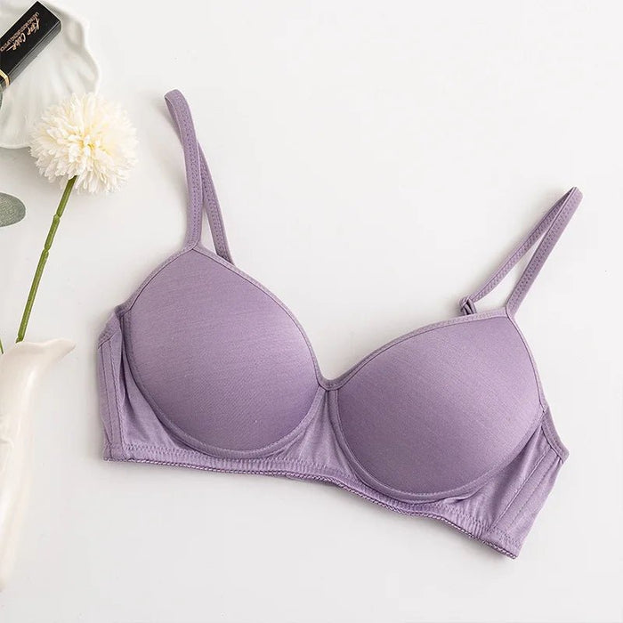 100% Mulberry Silk Bra For Women Wireless Seamless Brassiere Comfortable Gathering Underwear Push Up Soft Bralette Sexy Lingerie - CLICK TIK