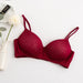 100% Mulberry Silk Bra For Women Wireless Seamless Brassiere Comfortable Gathering Underwear Push Up Soft Bralette Sexy Lingerie - CLICK TIK