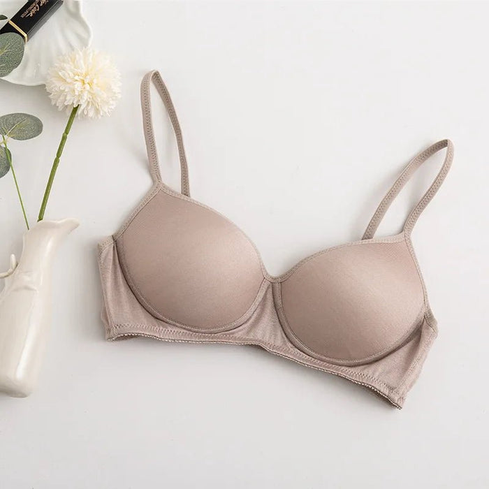 100% Mulberry Silk Bra For Women Wireless Seamless Brassiere Comfortable Gathering Underwear Push Up Soft Bralette Sexy Lingerie - CLICK TIK