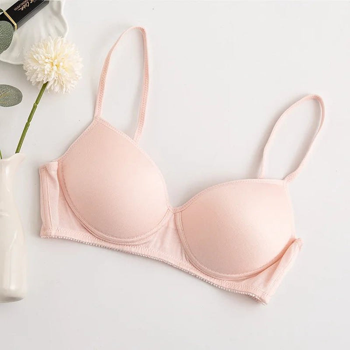 100% Mulberry Silk Bra For Women Wireless Seamless Brassiere Comfortable Gathering Underwear Push Up Soft Bralette Sexy Lingerie - CLICK TIK