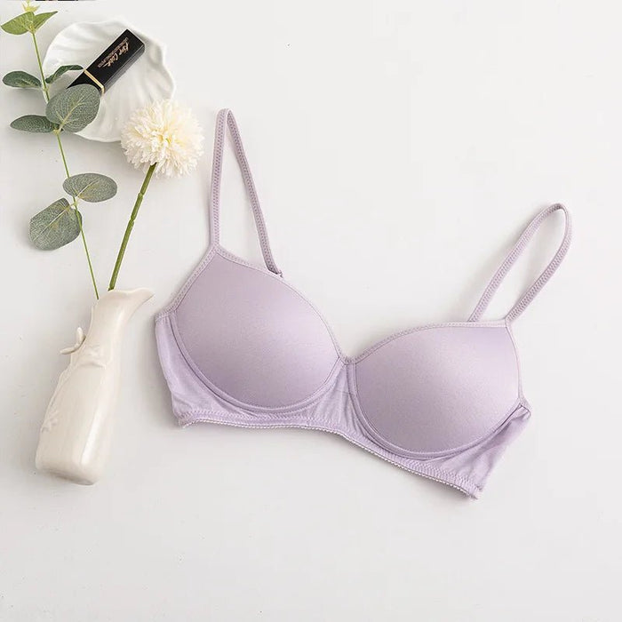 100% Mulberry Silk Bra For Women Wireless Seamless Brassiere Comfortable Gathering Underwear Push Up Soft Bralette Sexy Lingerie - CLICK TIK