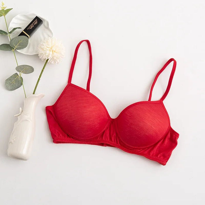 100% Mulberry Silk Bra For Women Wireless Seamless Brassiere Comfortable Gathering Underwear Push Up Soft Bralette Sexy Lingerie - CLICK TIK