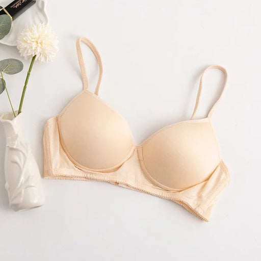 100% Mulberry Silk Bra For Women Wireless Seamless Brassiere Comfortable Gathering Underwear Push Up Soft Bralette Sexy Lingerie - CLICK TIK