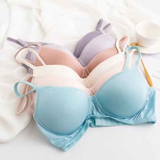 100% Mulberry Silk Bra For Women Wireless Seamless Brassiere Comfortable Gathering Underwear Push Up Soft Bralette Sexy Lingerie - CLICK TIK