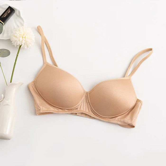 100% Mulberry Silk Bra For Women Wireless Seamless Brassiere Comfortable Gathering Underwear Push Up Soft Bralette Sexy Lingerie - CLICK TIK