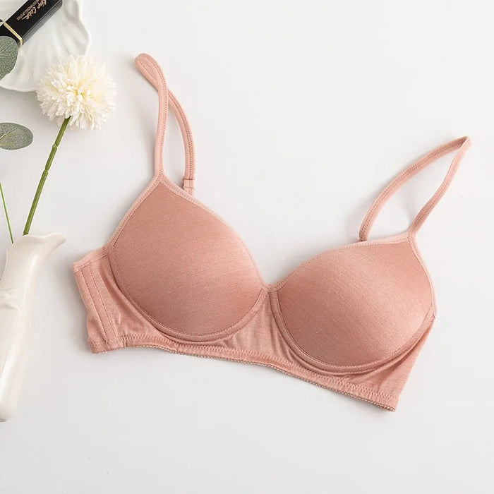 100% Mulberry Silk Bra For Women Wireless Seamless Brassiere Comfortable Gathering Underwear Push Up Soft Bralette Sexy Lingerie - CLICK TIK