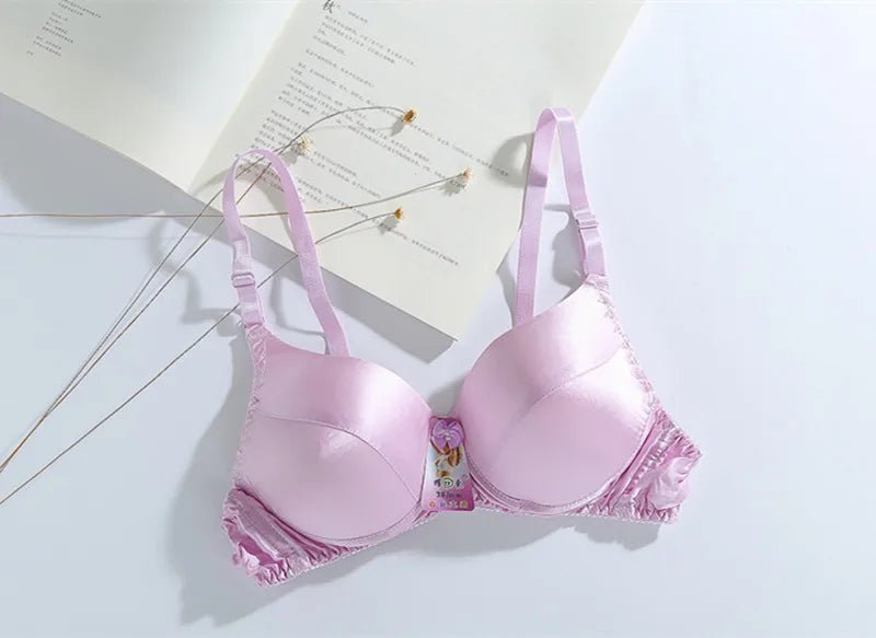 2024 new silk bra Mulberry silk double - sided silk without underwire thin underwear - CLICK TIK