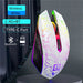 2.4G Bluetooth Wireless Mouse Rechargeable 7 Colors RGB LED Backlit Gaming Mouse Ergonomic Mice for Gamer Computer Laptop iPad - CLICK TIK