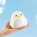 Bird Night Light Alarm Clock - CLICK TIK