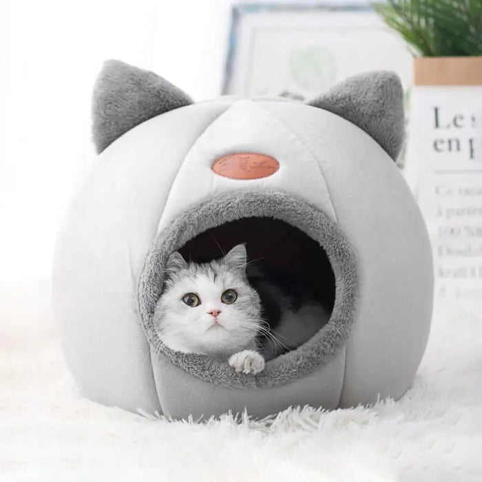 Cat Bed - CLICK TIK
