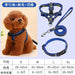 Dog Hand Holding Rope Large Small Dogs Dog Chain Dog Collar Teddy/Golden Retriever Dog Leash Pet Supplies - CLICK TIK