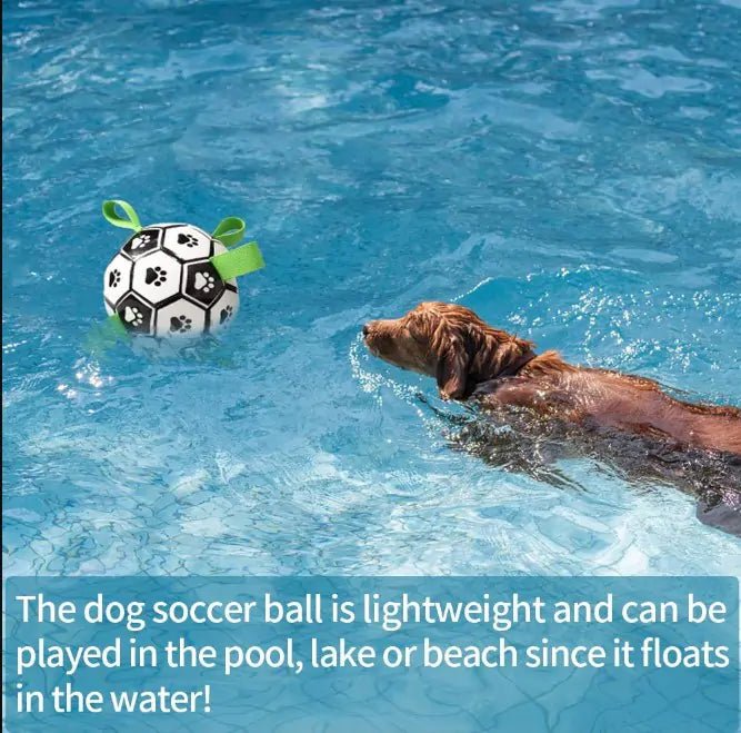 Dog Toys Interactive Pet Football - CLICK TIK