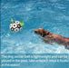 Dog Toys Interactive Pet Football - CLICK TIK
