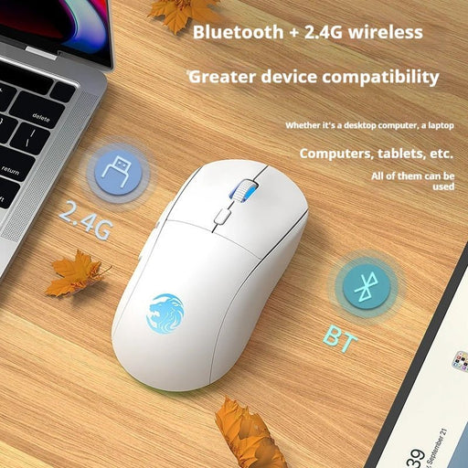 EWEADN G301 Wireless Bluetooth Dual - Mode Gaming Mouse, Rechargeable, Silent, Ergonomic Design, Perfect for Gaming & Office Use - CLICK TIK