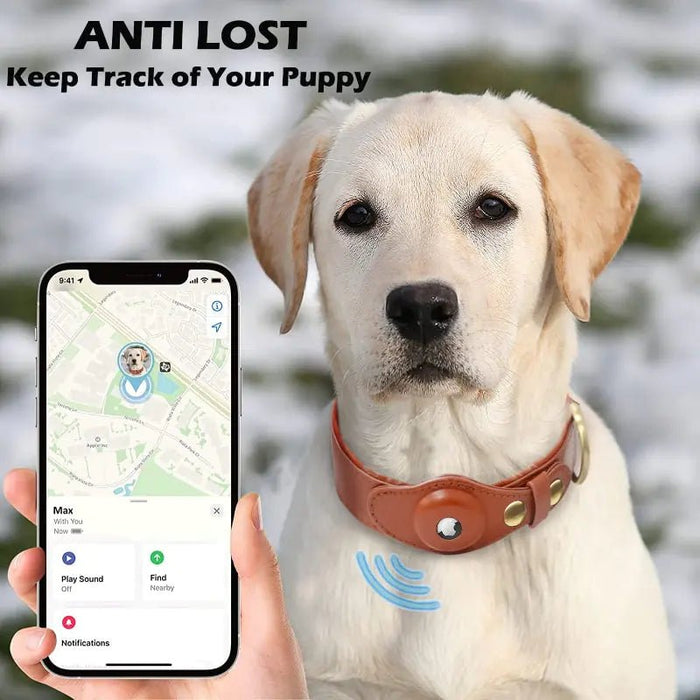 Leather Anti - Lost Dog Collar - CLICK TIK
