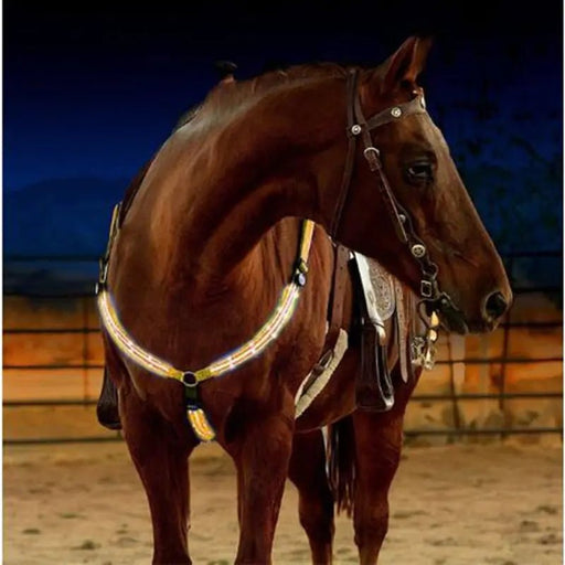 Nylon LED Horse Harness - CLICK TIK