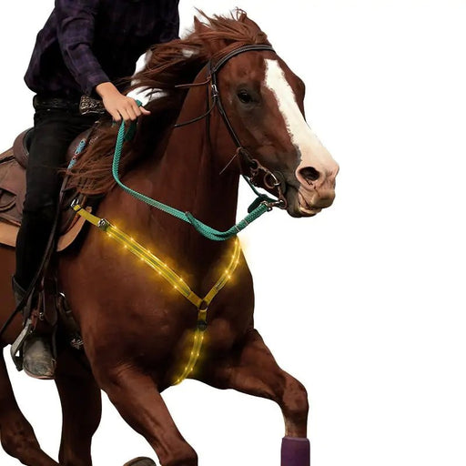 Nylon LED Horse Harness - CLICK TIK