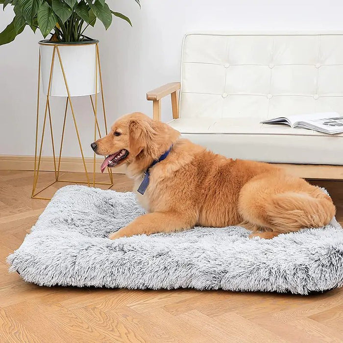 Plush Washable Dog Bed - CLICK TIK