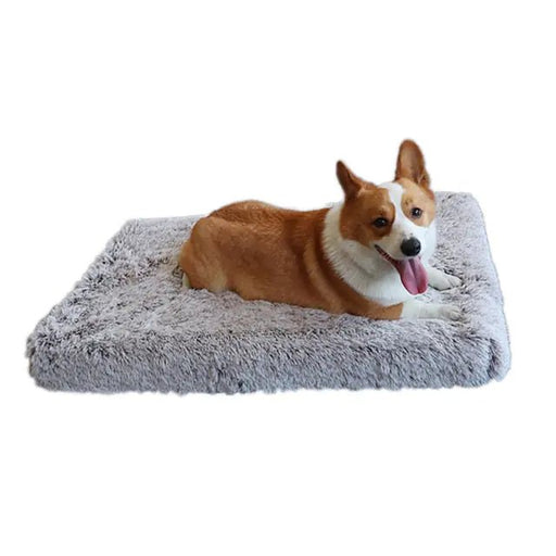 Plush Washable Dog Bed - CLICK TIK
