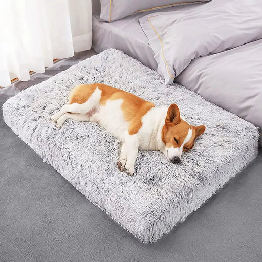 Plush Washable Dog Bed - CLICK TIK