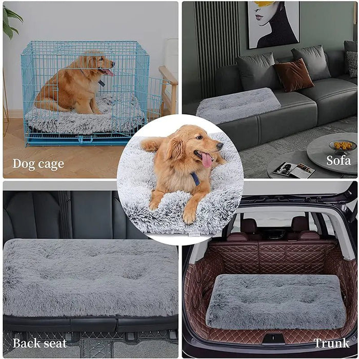 Plush Washable Dog Bed - CLICK TIK