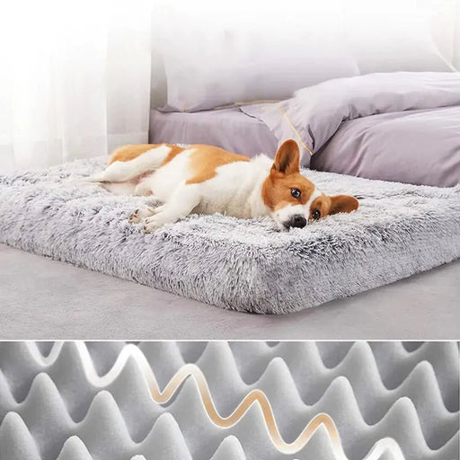 Plush Washable Dog Bed - CLICK TIK
