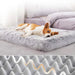 Plush Washable Dog Bed - CLICK TIK