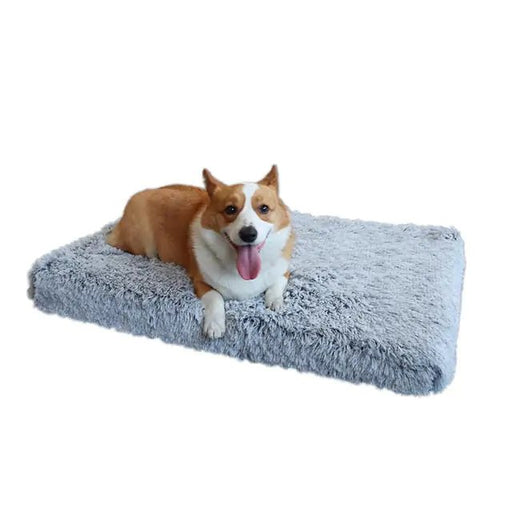Plush Washable Dog Bed - CLICK TIK