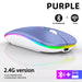 Rechargeable Bluetooth Wireless Mouse with 2.4GHz USB RGB 1600DPI Mouse for Computer Laptop Tablet PC Macbook Gaming Mouse Gamer - CLICK TIK