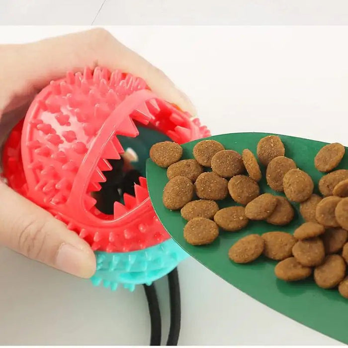 Silicone Suction Cup Dog Toy - CLICK TIK