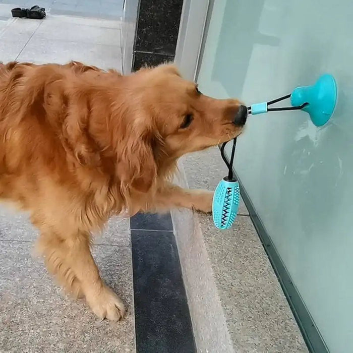 Silicone Suction Cup Dog Toy - CLICK TIK