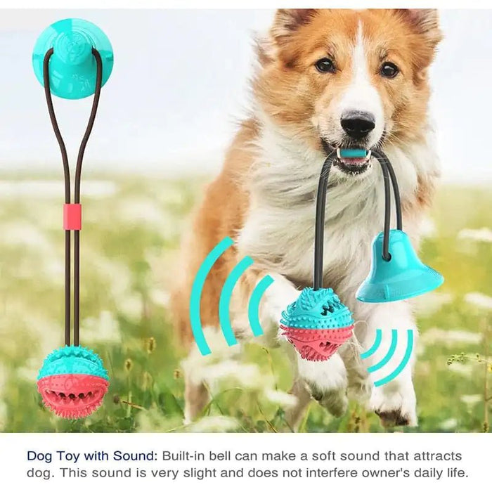 Silicone Suction Cup Dog Toy - CLICK TIK