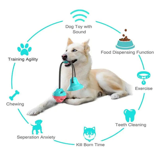 Silicone Suction Cup Dog Toy - CLICK TIK