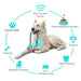 Silicone Suction Cup Dog Toy - CLICK TIK