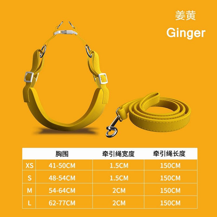Take a Good Dog Dog Hand Holding Rope Dog Vest Type Dog Leash Walking Dog Chain Small Size Dogs Chest Strap Jarre Aero Bull Rope - CLICK TIK