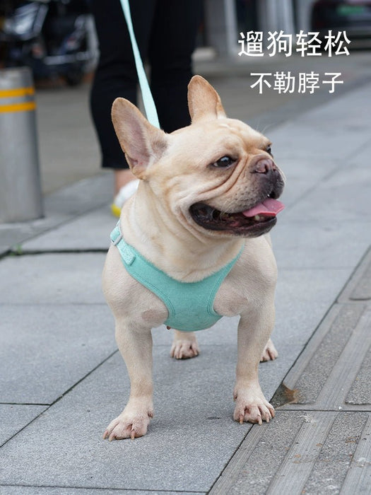 Take a Good Dog Dog Hand Holding Rope Dog Vest Type Dog Leash Walking Dog Chain Small Size Dogs Chest Strap Jarre Aero Bull Rope - CLICK TIK