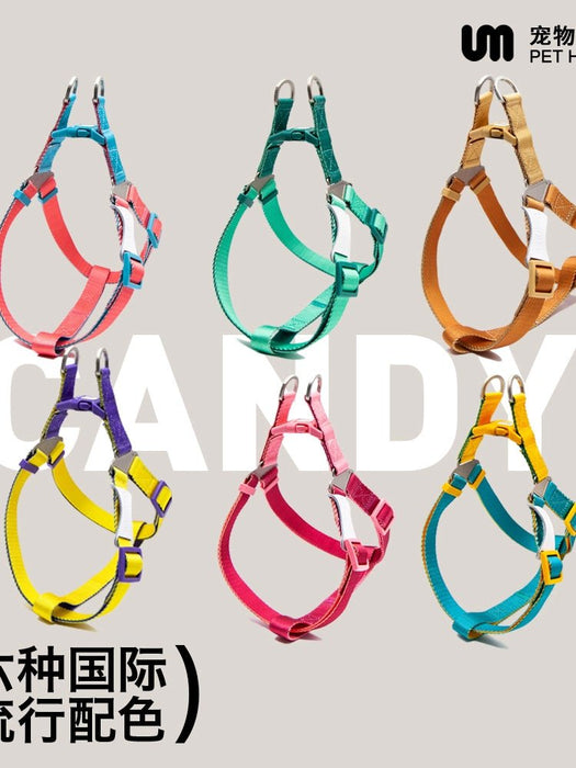 Unmixed Contrast Color Hand Holding Rope Single Tow Rope Cat Dog Chain Go out Hand Holding Rope Teddy Corgi Dog Leash Walking Cat - CLICK TIK