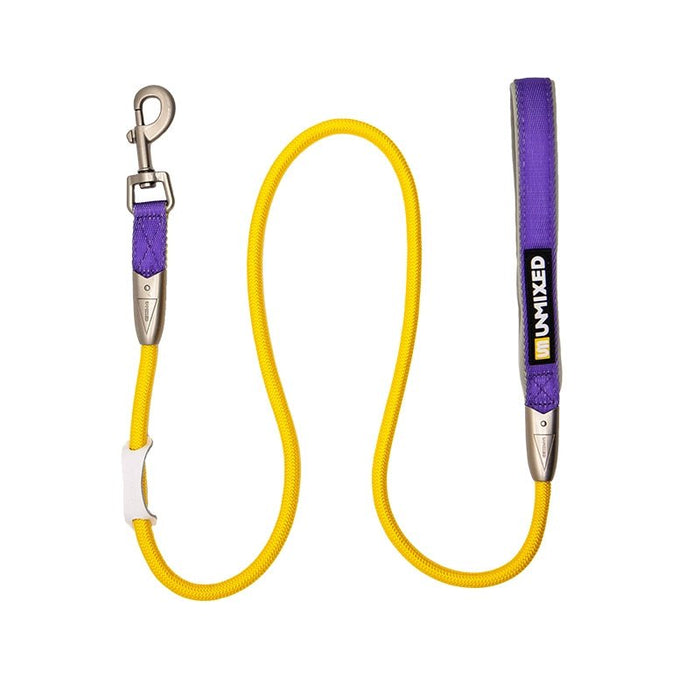 Unmixed Contrast Color Hand Holding Rope Single Tow Rope Cat Dog Chain Go out Hand Holding Rope Teddy Corgi Dog Leash Walking Cat - CLICK TIK