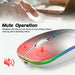 Wireless Mouse Bluetooth and 2.4GHz Dual Modes Rechargeable RGB Ergonomic Silent Click for PC iPad Laptop Cell Phone TV - CLICK TIK