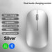 Wireless Mouse Bluetooth Silent 2.4G Dual - mode Type - C Charging Ergonomic Morandi Portable Laptop Office Gaming Mouse - CLICK TIK