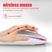 Wireless Mouse RGB Rechargeable Bluetooth Mice Wireless Computer Mause LED Backlit Ergonomic Gaming Mouse for Laptop PC 3600DPI - CLICK TIK